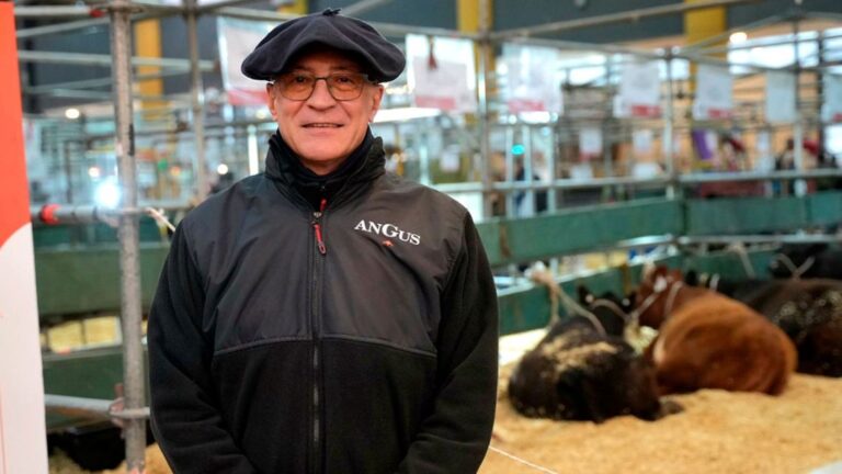 Conoce a Amadeo Derito, nuevo presidente de Angus, la principal raza ganadera del país