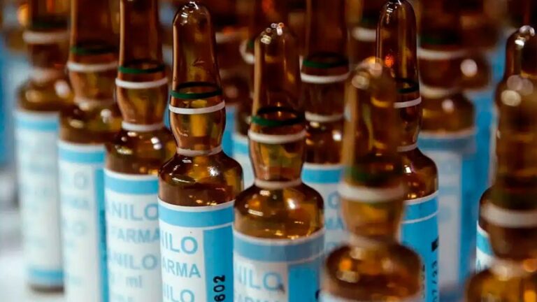 Proponen establecer el «Día Nacional de la Memoria por las Víctimas del Fentanilo»