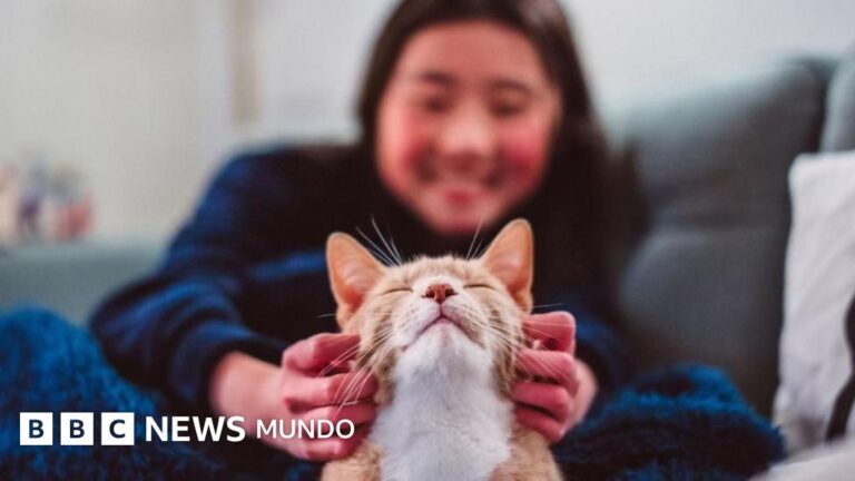 Gatos: Nuestros Compañeros Más Tarde de lo Creído y Todos de la Misma Especie