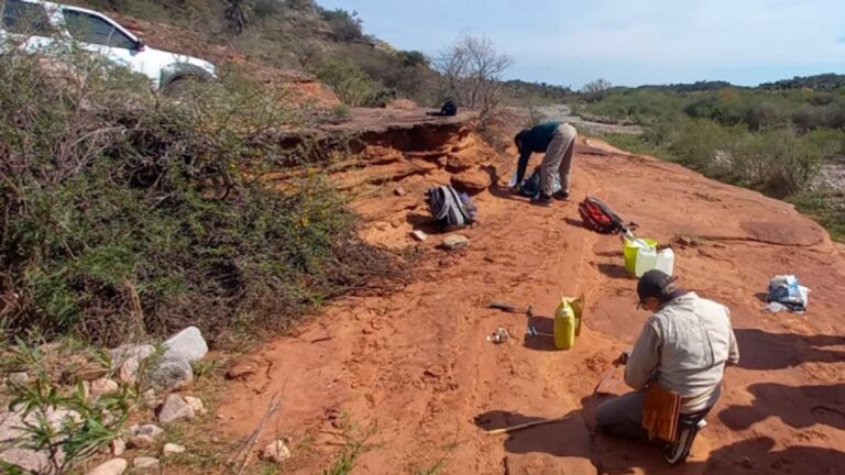 Descubren un Hueso de Dinosaurio de 100 Millones de Años en las Sierras de Córdoba