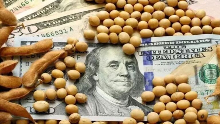Liquidación del Agro: Noviembre cae un 32%, pero sube un 24% en el año