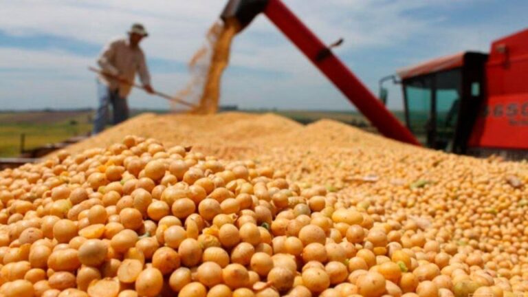 Menos Retenciones para el Agro: Caputo Impulsa un Shock de Competitividad