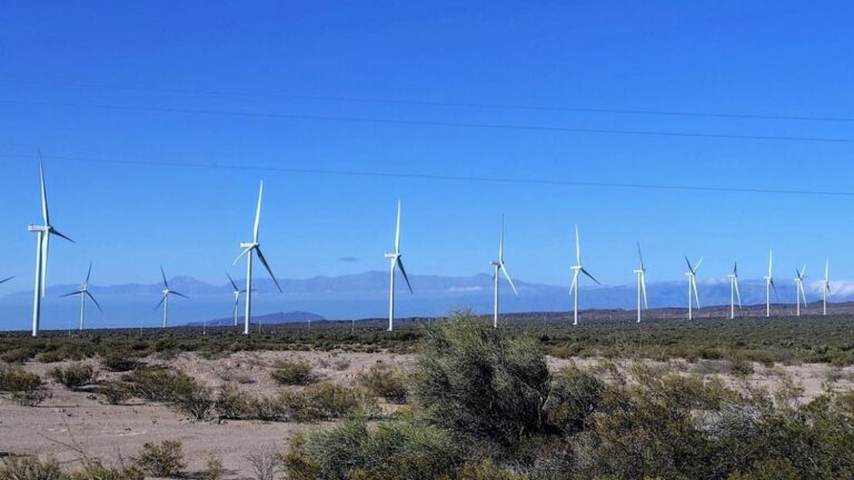 Revista Science: Las Energías Alternativas son el Gran Avance Científico de 2025