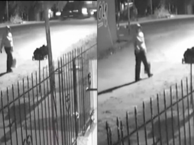 Impactante abandono: una criatura vulnerable en la calle