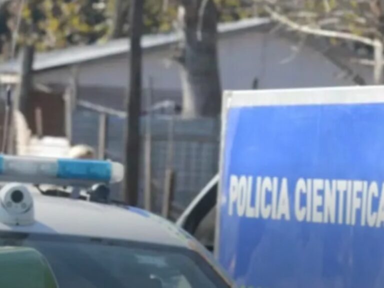 Descubre huesos humanos al cortar el pasto en su patio