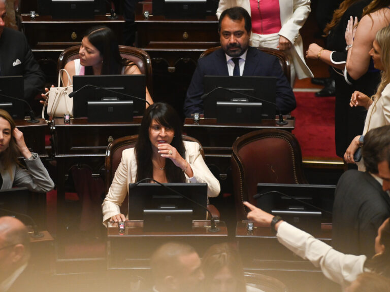 El Gobierno enfrenta dificultades para conseguir votos: Villaverde, del partido Libertario, podría quedar fuera del Senado