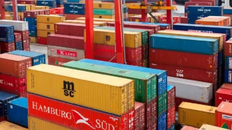 Natalia Motyl advierte: “En 2026, un drástico aumento de importaciones sería catastrófico”