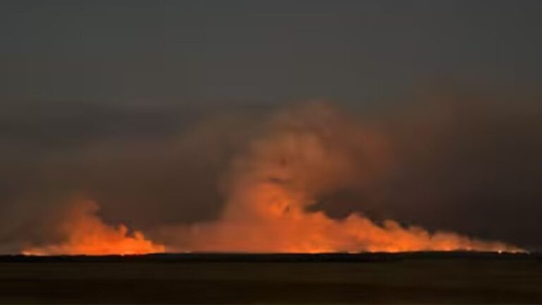 Incendios en La Pampa devoran más de 83,000 hectáreas