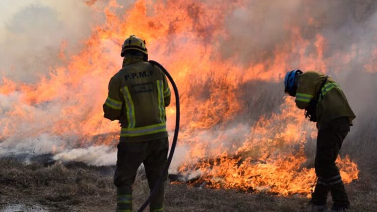 Incendios en Córdoba: A pesar de una reducción del 80% en hectáreas afectadas, el fuego arrasa el bosque nativo