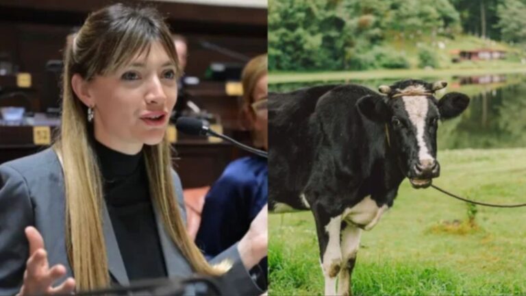 Proponen un impuesto a las emisiones de gases de las vacas