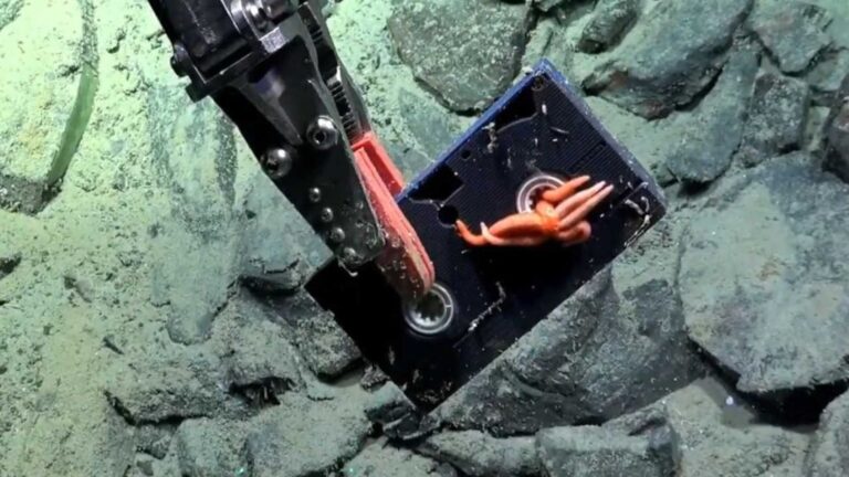 Conicet descubre un VHS a 2600 metros de profundidad en su nueva expedición