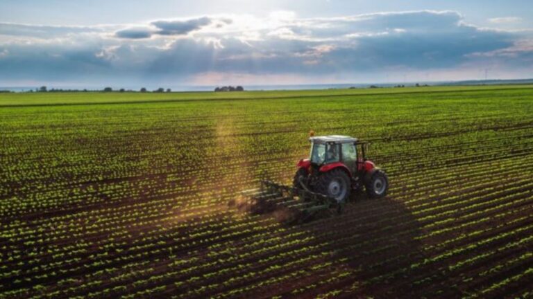 Córdoba: Balance 2025 de la Industria de Maquinaria Agrícola