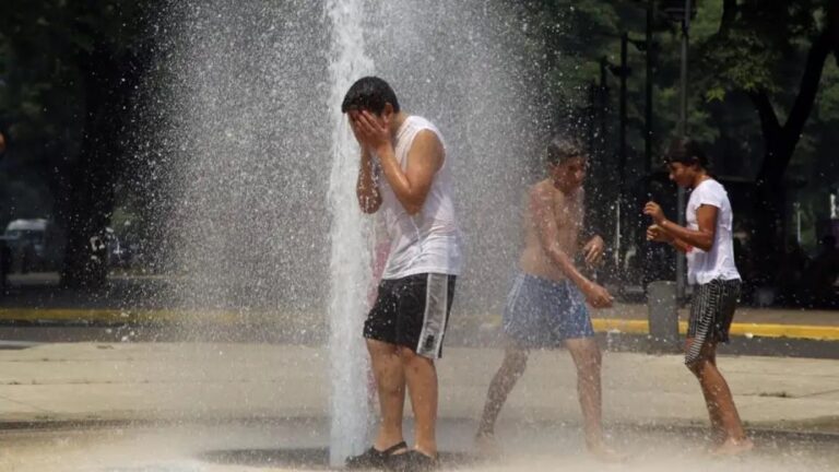 Consejos de la Sociedad Argentina de Pediatría para Evitar el Golpe de Calor en Niños