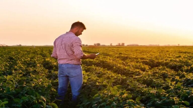 Agropecuarios: «El verdadero ajuste lo asume el productor, no el Gobierno»