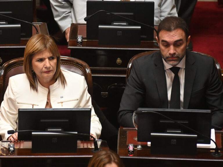 Patricia Bullrich impulsa debate en el Senado mientras espera el proyecto oficial