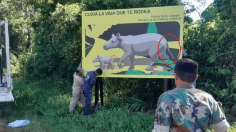 Confusión Zoológica: Carteles de Tapires sin Trompa en Misiones