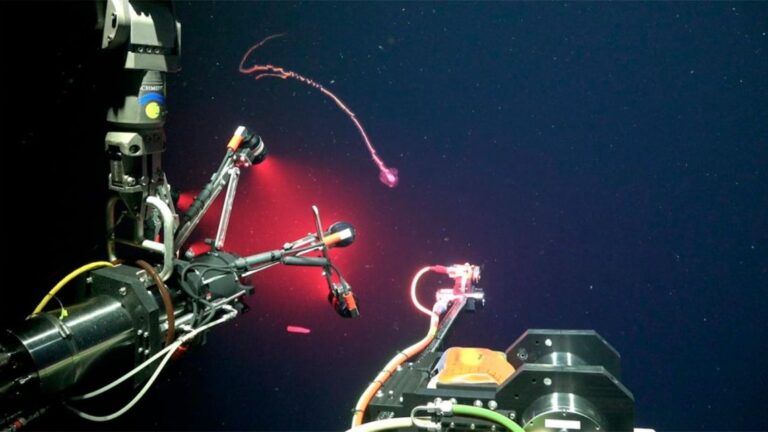 CONICET lanza ‘Vida en los extremos’: nueva expedición científica en vivo