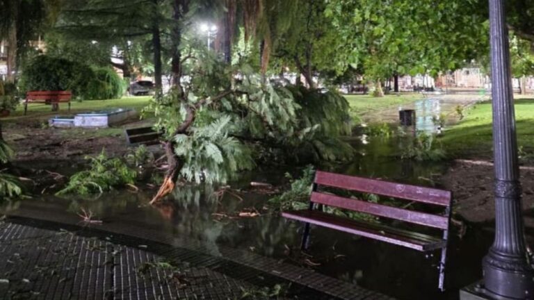 Tormenta en Villa Dolores: Árboles Caídos y Calles Inundadas