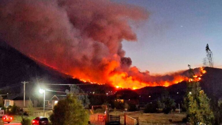 Chubut en Crisis: La Peor Tragedia Ambiental en 20 Años