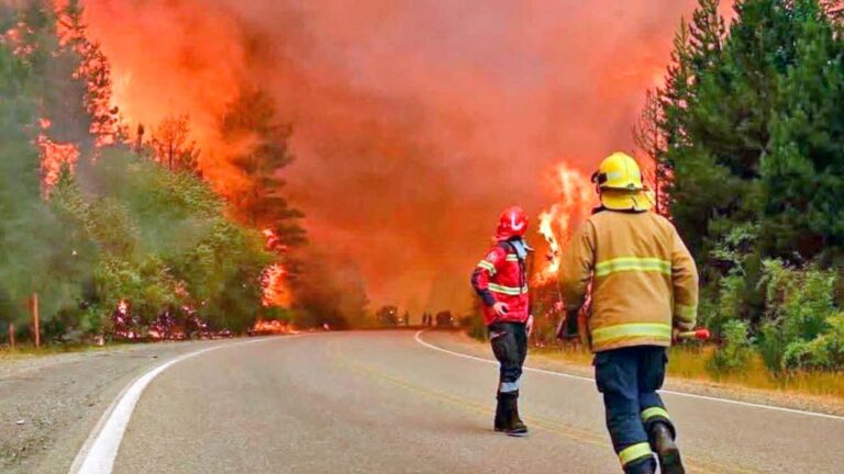 Presupuesto para prevención de incendios forestales se reduce en 53,6%