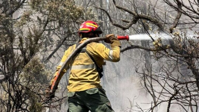 Bomberos de Córdoba se suman a la lucha contra incendios en Chubut