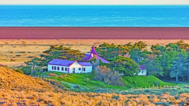 Estancia El Pedral: Donde la Estepa Se Encuentra con el Mar