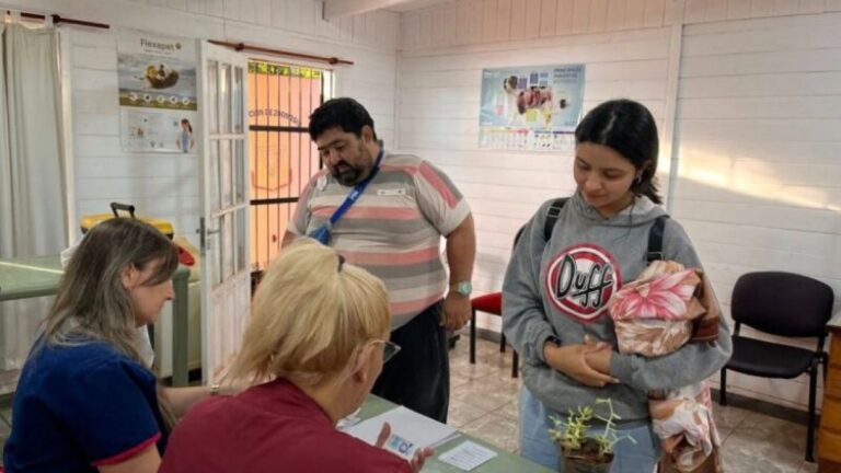 Castraciones Gratuitas y Mejora en el Cuidado de Mascotas en Puerto Iguazú