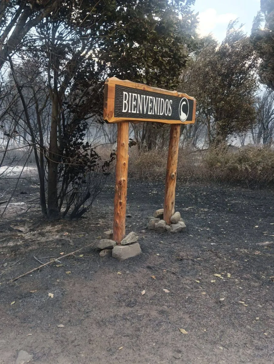 Explorando la historia