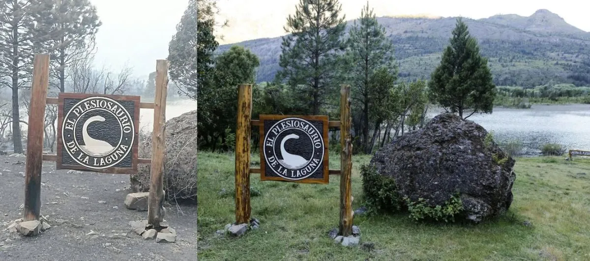 Ecosistema de Pitras