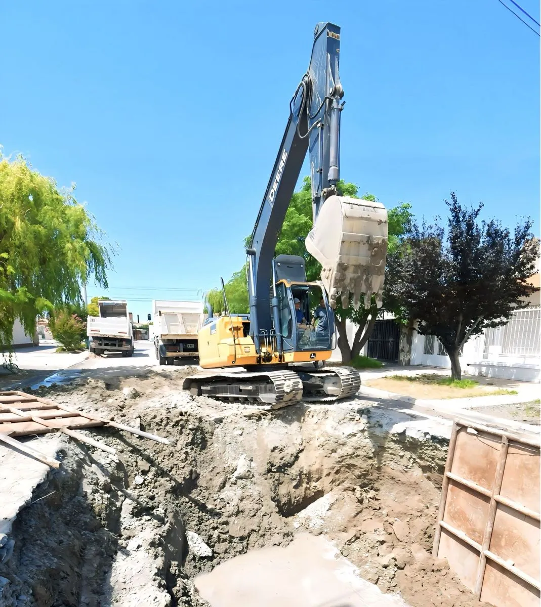 Intervención cloacal