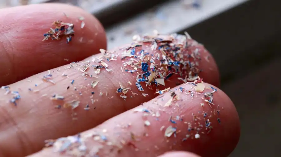 Microplásticos en el líquido folicular