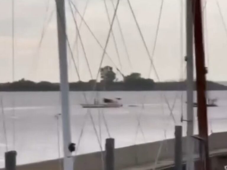 Pareja rescatada tras desvanecerse en velero en Puerto Madero