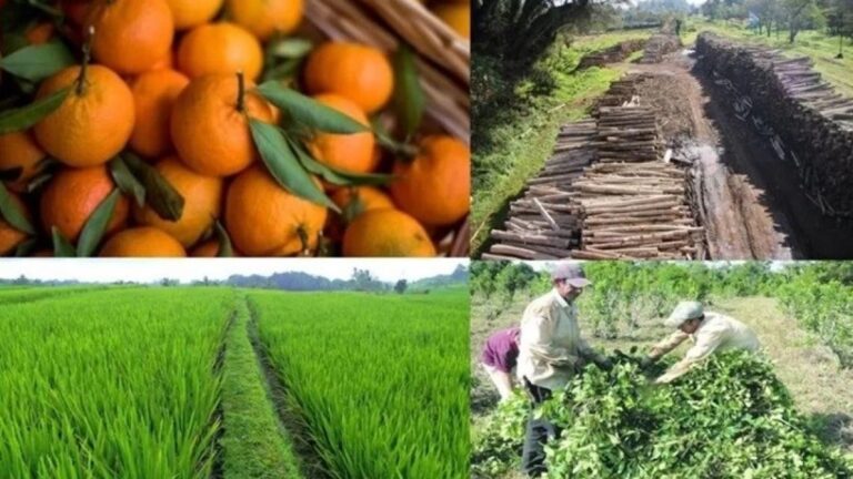 NEA 2025: Desigualdad en la Reactivación, Consumo en Tensión y Expectativas Moderadas para 2026