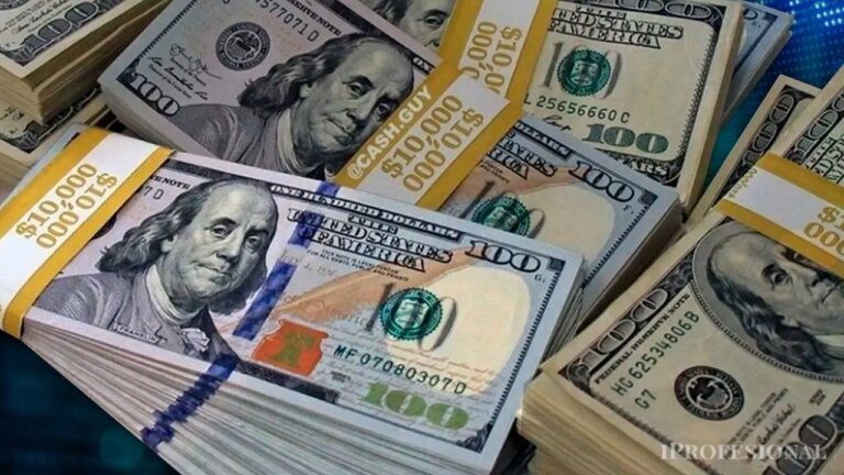 ¿De dónde provienen los dólares? Clave para que el BCRA adquiera u$s10.000 millones.