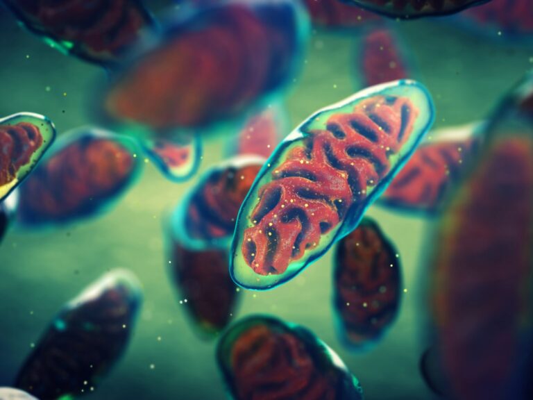 Investigación revela vínculo entre riesgo de contagio de la «supergripe» H3N2 y efectos post-Covid.