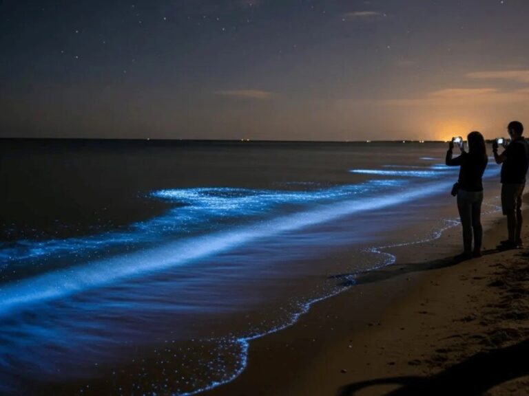 “El misterioso color del mar en Punta del Este: ¿Por qué brilla tanto en enero?”