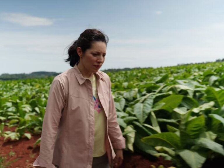 «HUMO»: El impactante documental de Lucía Salinas sobre el oscuro negocio del contrabando de cigarrillos.