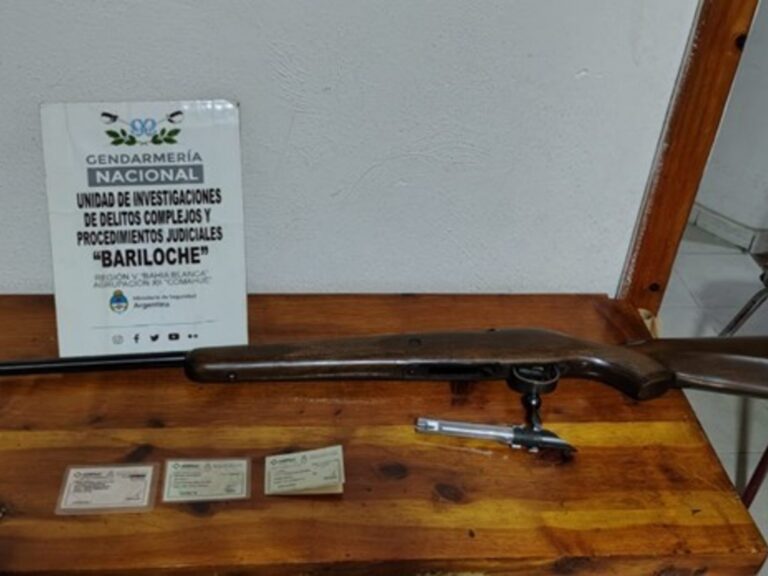 Matanzas en Nahuel Huapi: $6.000.000 para evitar juicio por guanaco faenado