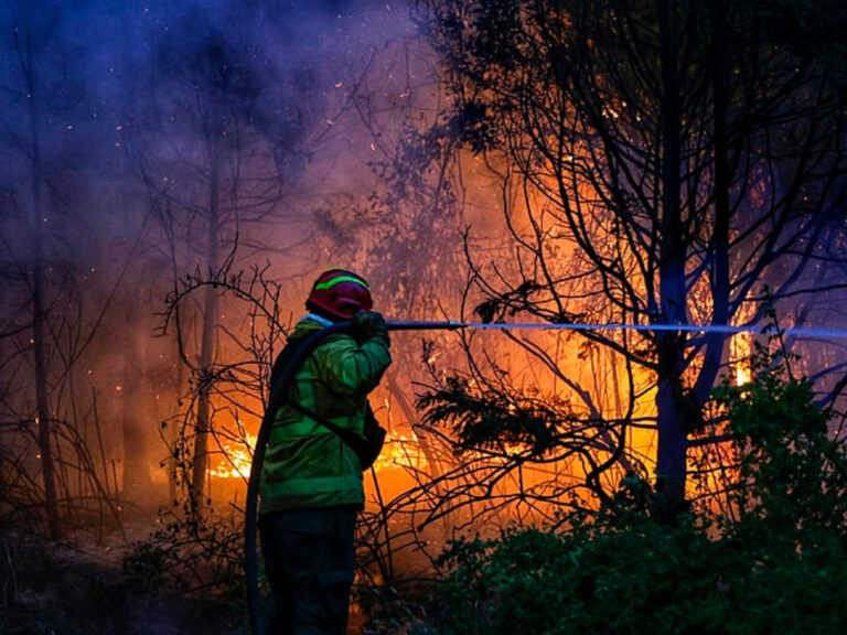 Incendio Forestal Devasta 12,000 Hectáreas en El Hoyo: La Lucha Continúa