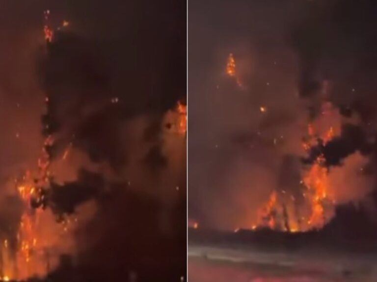 Incendio devasta plantación de trigo cerca del Aeropuerto y Centro Atómico