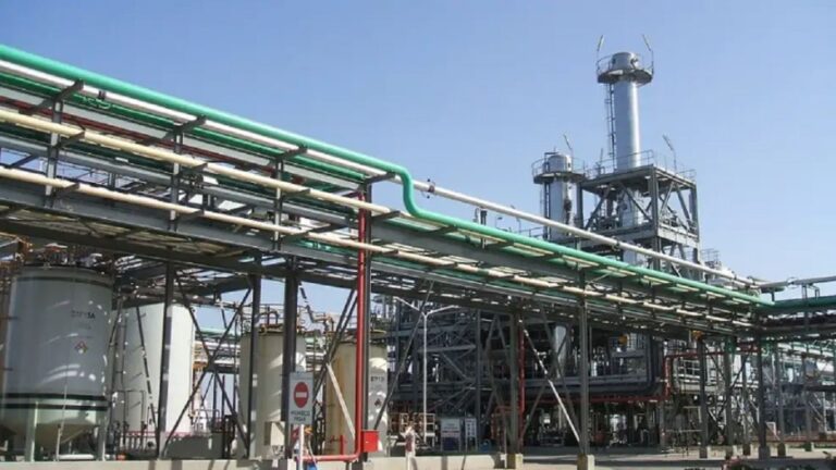 La UE limita exportaciones de biodiésel argentino, amenazando u$s 350 millones al año