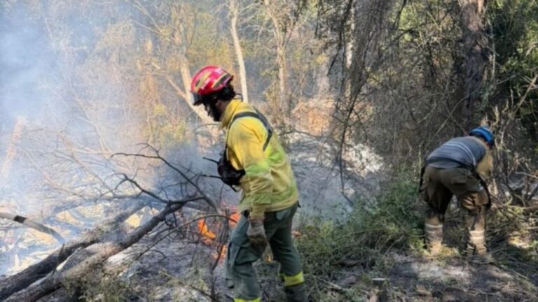 Incendios en Chubut: Avances de los Bomberos Cordobeses tras 10 Días de Lucha