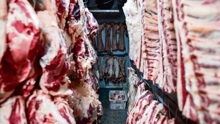 China implementa salvaguardias a la carne: ¡un motivo de celebración para Argentina!