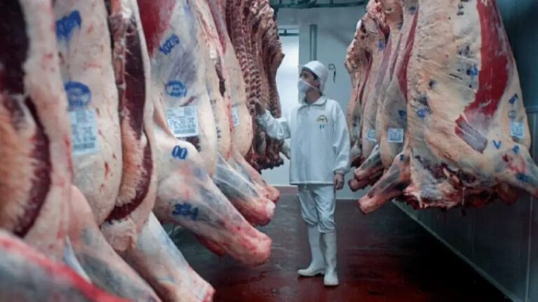 China limitará la exportación de carne: acceso restringido hasta alcanzar el cupo