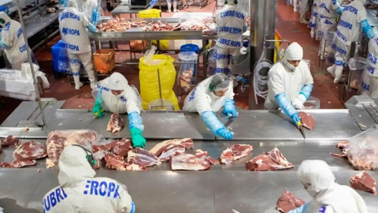 Impacto del Acuerdo con la UE en el Sector Cárnico: Primer Año Será Mínimo