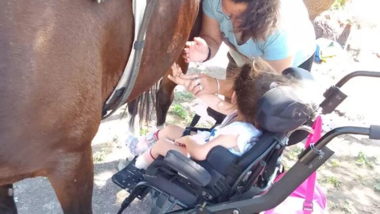 Equinoterapia: El poder transformador del caballo en la comunicación