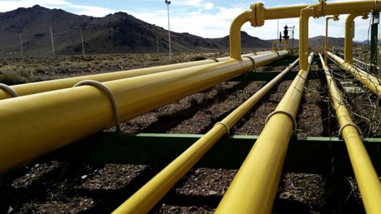 Capítulo 2: La Controversia de los Caños entre Techint y los Tubos Indios