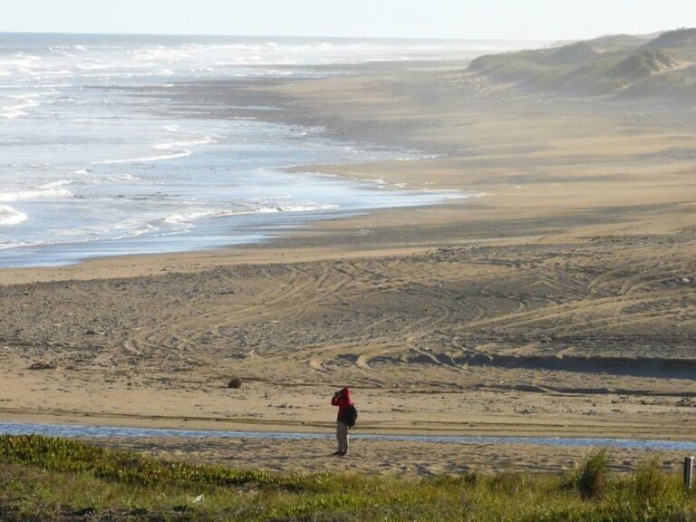 Descubre 12 Playas Ocultas en la Costa Atlántica Bonaerense