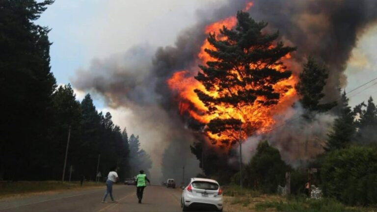 Epuyén declara emergencia total por incendios que devastaron más de 12 mil hectáreas