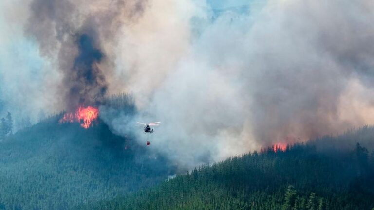 Incendios Forestales: Alertan sobre Riesgos para la Salud Respiratoria